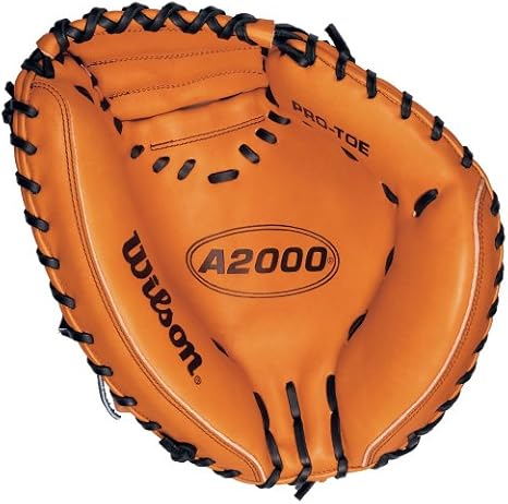a2000 pudge catchers mitt