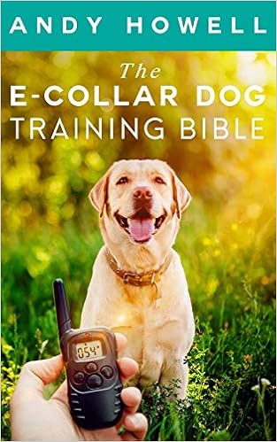 training your dog with an e collar