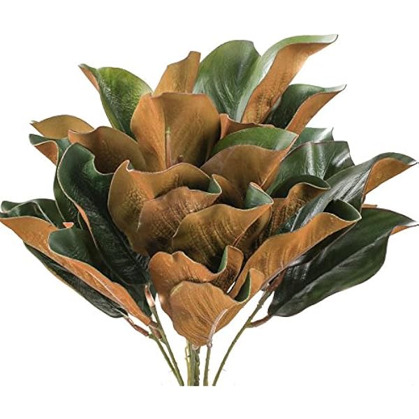 Amazon Com Factory Direct Craft Hues Of Green Artificial Magnolia Leaf Bush For Indoor Decor