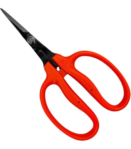 Amazon.com : Chikamasa Garden Scissors B500SLF by CHIKAMASA