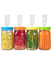 fermentation kit