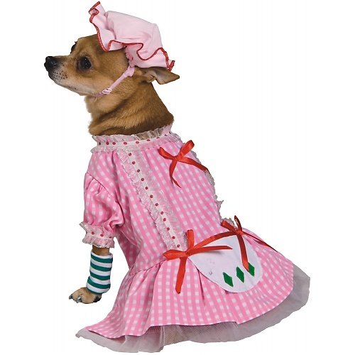 Country Pup Strawberry Shortcake Dog Costume
