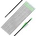 ANTSIR 30 Fiberglass Archery Target Arrows- Practice Arrows for Kids Youth or Begineers on Recurve Bow Long Bow Traditional Bow (Green Vanes Pack of 12)