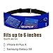 GEARWEAR Running Phone Holder Runner Belt Waist Pocket for iPhone Xs Max/Xr/X/8/7 Samsung A10/S9/S8 Edge for Workout Fitness Walking Jogging Exercise Sport Gym Men Women Blue