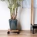 decorluxes Plant Caddy With Wheels, 12