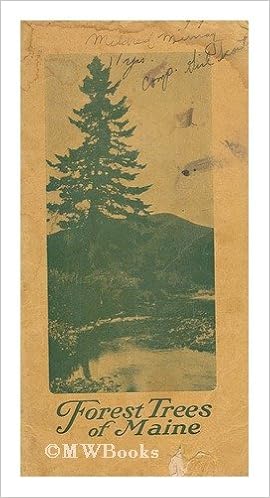 Forest Trees Of Maine Amazon Com Books