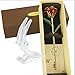 POLEND Love Forever Long Stem Dipped 24k Gold Foil Trim Rose,with The Clear Crystal Stand,Best Gift for Valentine's Day Gifts,Mother's Day, Anniversary, Birthday Gift,Christmas(Red)
