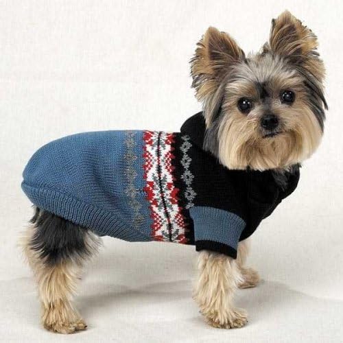 stylish dog sweaters