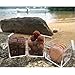 24 Pack Small Clear Acrylic Candy Boxes Cube Case 2x2x2 Inches Transparent Acrylic Favor Boxes for Mini Macarons by Fulemay