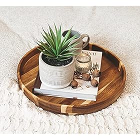 Kurrajong Farmhouse 8" x 4.5" Artificial Plant in Pot | Beautiful Faux Plant for Bedroom Decor | Fake Plant for Shelf Decor | Realistic Faux Succulent for Desk Decor | Artificial Succulent Plant 510HJ30ydUS