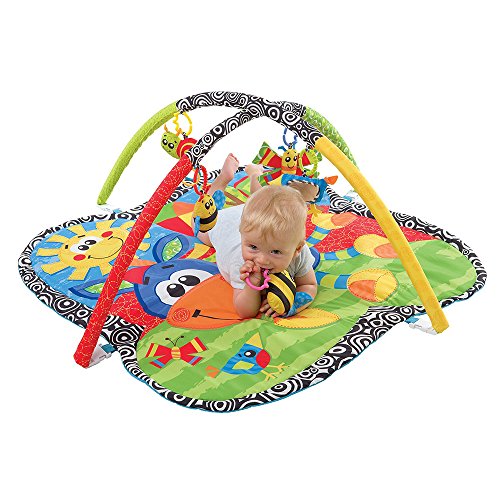 playgro baby gym