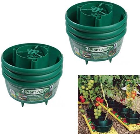 Pack of 9 Green Tray Cane Watering Ring Tomatoes Grow Bag Garland Halos Plant