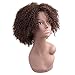 Miss Rola Synthetic Afro Curly Wig Soft Silk Kanekalon Fiber For Black Women Short Kinky Hair Natural Black Color 11