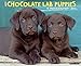 Just Chocolate Lab Puppies 18-Month 2015 Calendar