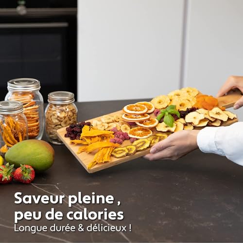 VITA5 Food Dehydrator 6 Stainless Steel Trays 650 W Timer 24 H | Prepare Apple Chips Dried Fruits and Aromatic Herbs with Accurate Temperature and Even Drying