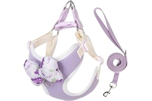 MAJIAYU Dog Harness for Small Medium Dogs Puppy Harness and Leash Set Dog Harness for Walking Purple M