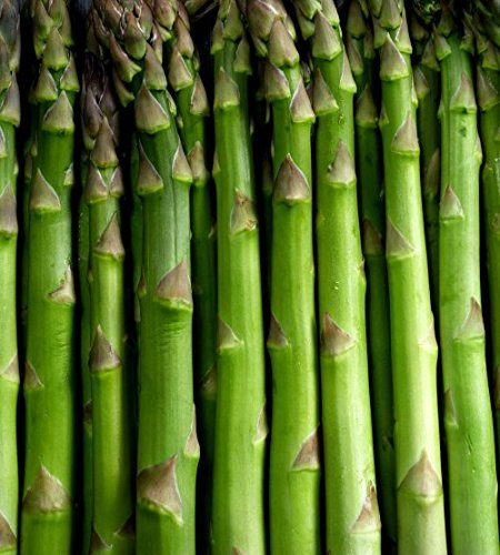 Mary Washington Asparagus Crowns 2 Year Old 50 Count