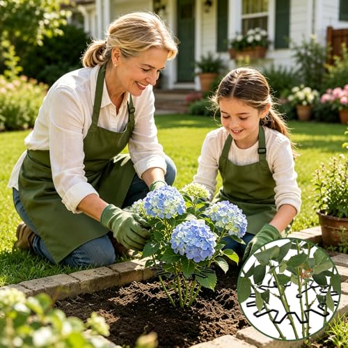 WUQNGI Plant Support, Pack of 10 Perennial Holders, Round, Adjustable Hydrangea Support, Diameter 21.5 cm, Robust Plant Holder for Garden as Shrub Support, Rose Support, Flower Support, Peony Holder