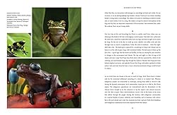 In Search of Lost Frogs: The Quest to Find the