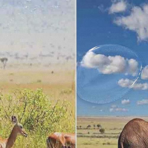 CHASOEA Unique Shower Curtain,African Safari Collage Lanscape with Native Animals Grassland Savannahs Mamals,Eco-Friendly with 12 Hooks in Bathroom W72xH96