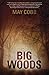 Big Woods