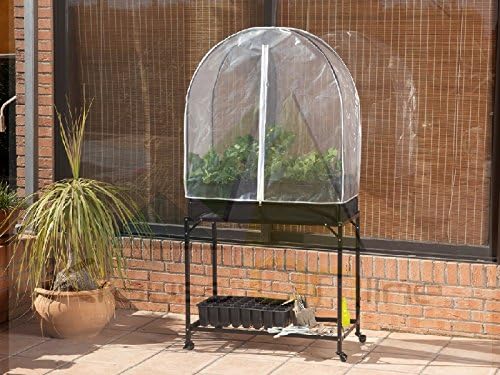 Catral 75050001 - Cajonera-invernadero, 100 x 76 x 76 cm ...