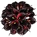 Luyue 20 Pcs Fake Calla Lily Artificial Flowers Bridal Wedding Bouquet Latex Real Touch Flower Home Kitchen Office Decor-Brick Red