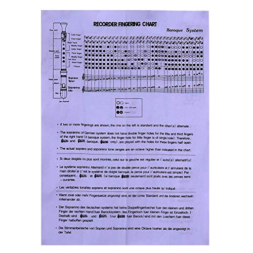 Soprano Recorder Descant Flauta Recorder 8 Hole ABS German
