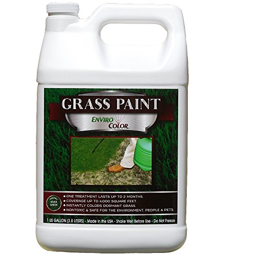 4,000 Sq Feet 4Ever Green Grass and Turf Paint