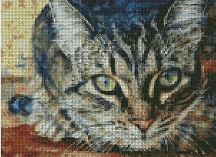 Amazon Com I See You Cat Counted Cross Stitch Kits 150x110stitch 37x30cm Counted Cat Cross Stitch Kits