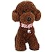 ITERY Soft Adjustable Nylon Small Dog Cute Collar with Santa Claus Pattern and Bells (Large, Santa Claus)