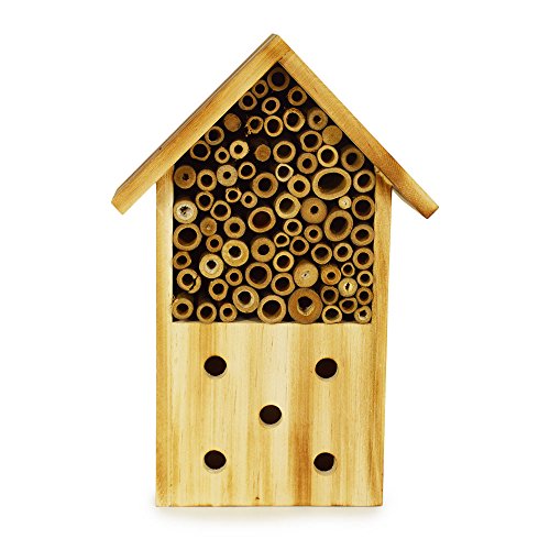 Wood Bee House