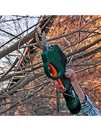 Scotts Outdoor Power Tools PR17215S   Batería recargable de 7,2 V, iones de litio, color verde