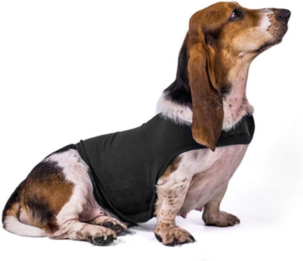 thundershirt anxiety coat for dog