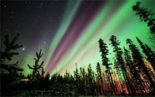 Jane Pop Borealis Northern Lights Night Nature Stars Poster Canvas Print 24x36 Inch Home Wall Decor landscape posters