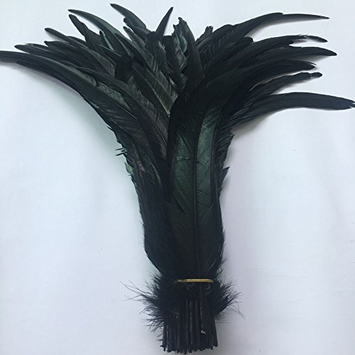Shekyeon 16-18inch 40-45cm Rooster Coque Tail Feather for costume decoration pack of 20 (Black)
