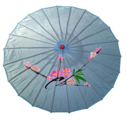 Light Blue Nylon Parasol with Hand Painted Design