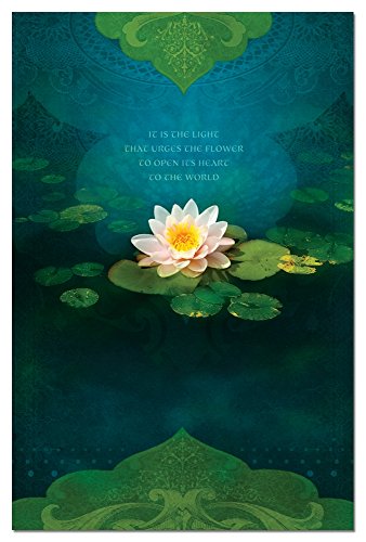 Tree-Free Greetings - All Occasion Cards - Artful Designs - 12 Greeting Cards + White Envelopes - Made in USA - 100% Recycled Paper - 4 x 6 - Bouquet of Light (FS66555)