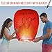 SKY HIGH 20 Pack Colorful Chinese Lanterns - Biodegradable Paper Lanterns Multi-Color Assortment for Birthdays, Parties, New Years, Memorial Ceremonies and More