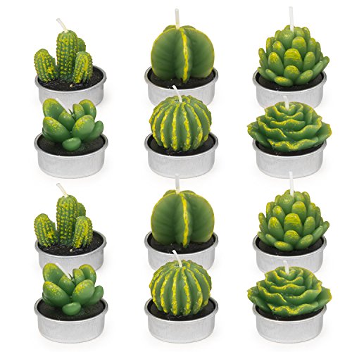 Cactus Tealight Candles, AMASKY Handmade Delicate Succulent Cactus Candles for Valentine's day Birthday Party Wedding Spa Home Decoration, 12 Pcs in Pack. (12)