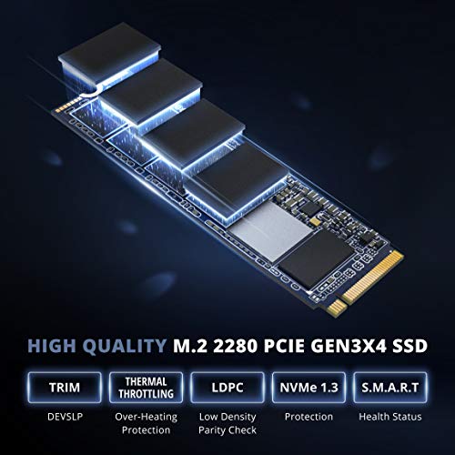 Pioneer 2TB NVMe SSD PCIe M.2 2280 Gen 3x4 TLC Internal High Speed Read/Write up to 3400/2750MB/s Solid State Drive, 3300 TBW, PC Laptop Compatible (APS-SE20G-2T)