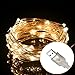 Excelvan Safe Low Voltage 10m/33ft 100 LED String Lights Copper Wire, USB Operated Waterproof Decorative Fairy Starry Lights for Christmas, Wedding, Home, Patio, Garden and Party, Holiday, Warm White