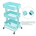 3-Tier Metal Mesh Storage Shelf Utility Rolling Cart with Removable Handle and Plug, Indoor or Outdoor Storage Organizer, Turquoise