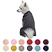 Blueberry Pet Dog Sweater - Award Winning Christmas Sweater for Dogs - Cozy Wool Blend Dog Clothes - Ideal for Small Dogs - Machine Washable for Style-Conscious Pet Parents in Cold Weather