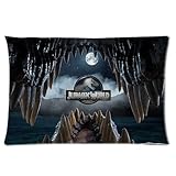 Futefew Soft Pillow Case Cover 20*30 Inch (Twin sides)Zippered Pillowcase Custom Jurassic World Pattern Popular Design