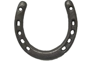 ORANGE NEI YFUG GO Cast Iron Horseshoe Wall Decor, Medium Horseshoe Durable Cast Iron 5 Holes On Each Side for Indoor Or Outdoor(1 pack)…
