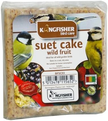 King Fisher Suet Cake with Wild Fruit