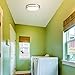 EV1410LED-BN Ceiling Light, LED Flushmount, Brushed Nickel with White Lens