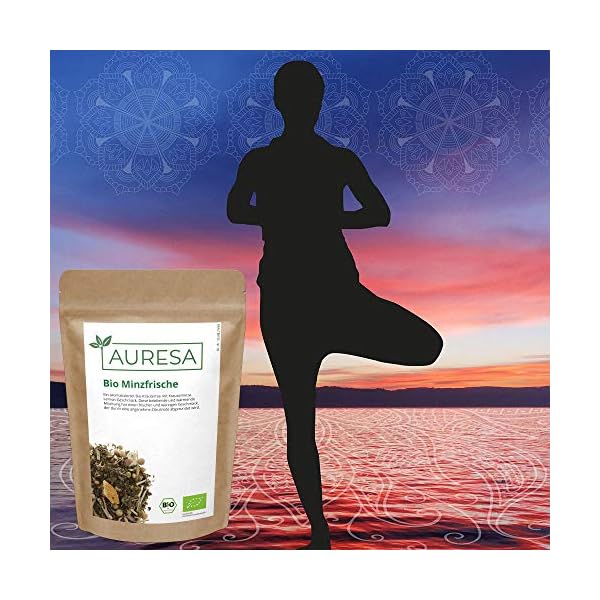 AURESA Bio Kräutertee Minzfrische | Krauseminze mit Lemon Geschmack | Loser Tee aus kontrolliert biologischen Anbau – Bild 4