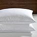 Basic Beyond Feather Down Pillow - Hotel Collection White Comfortable Soft Bed Pillow for Sleeping (Pack of 2, King Size 20x36)